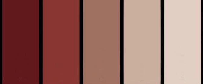 514ae130 0b11 4631 991b f62bee244358 1 (1)