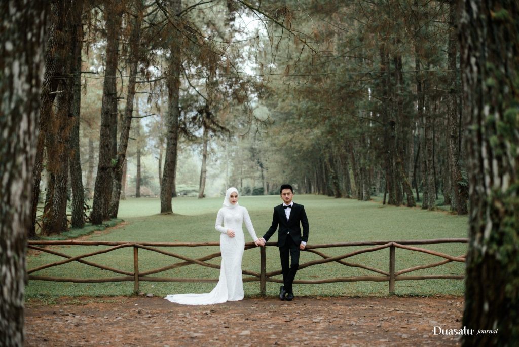 Ilvan marshela 10.jpeg